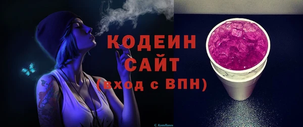 эйфоретик Арсеньев