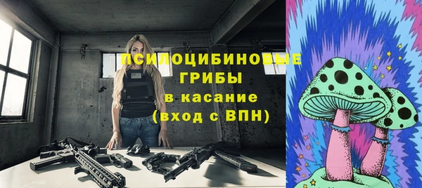 эйфоретик Арсеньев
