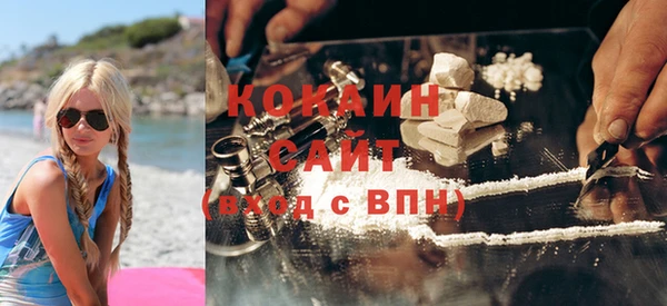 твердый Аркадак