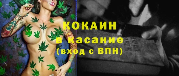эйфоретик Арсеньев