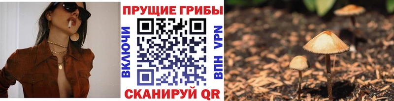 Галлюциногенные грибы MAGIC MUSHROOMS  MEGA онион  Ишим 
